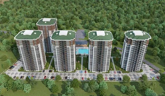 Forest City 2