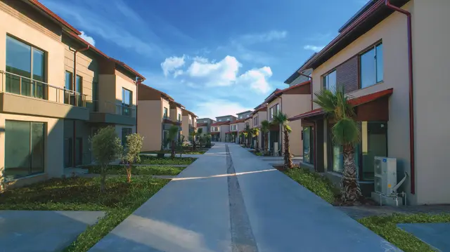 Palm City Modern
