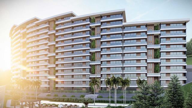 Sirius Florida