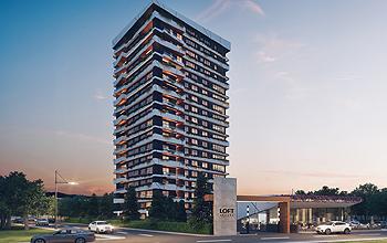 WLoft Dragos