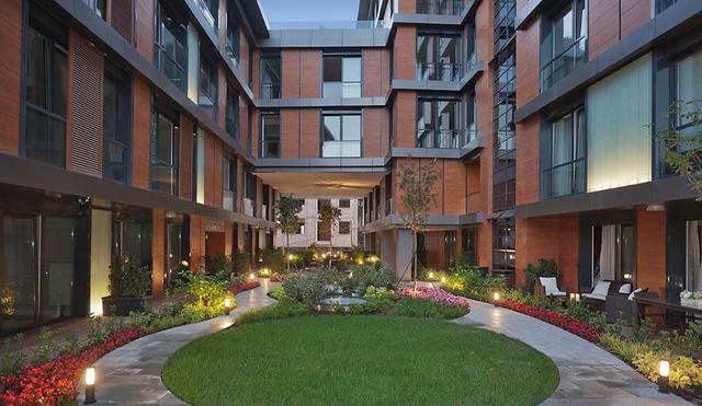Terrace Feri