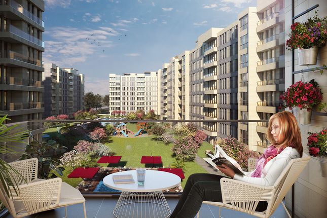 Meydan Ardıçlı
