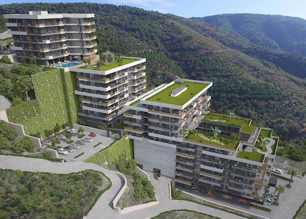 Bulut Orman Evleri