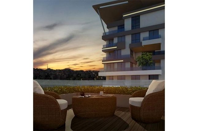 Seba Suites