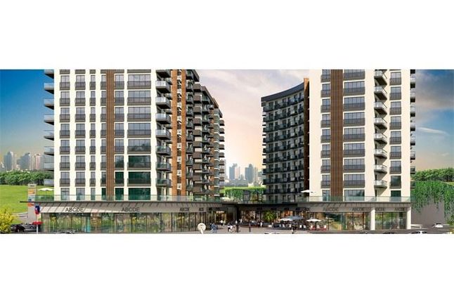 Farilya Asia