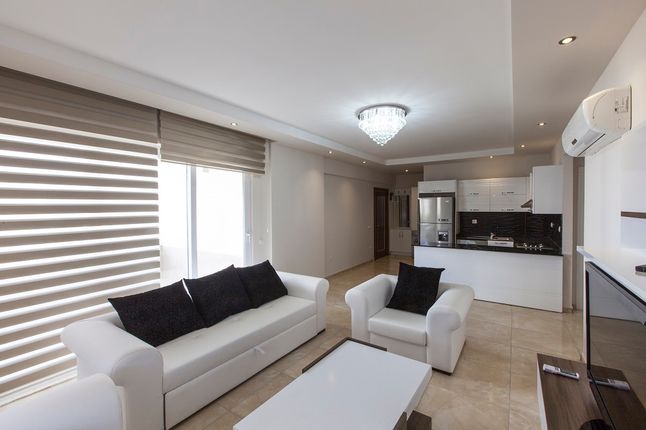 Liparis Suncity