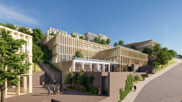 Nef Arsa Sakarya