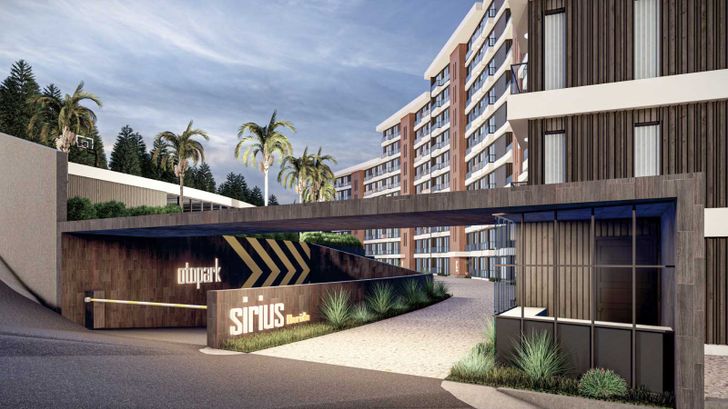 Sirius Florida