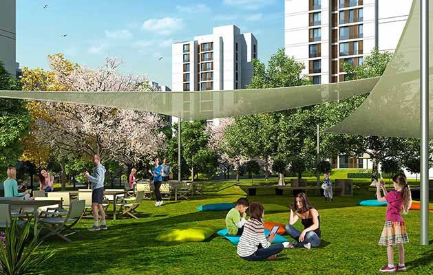 Resim İstanbul Orman