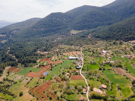 %50 İmarlı Arsa