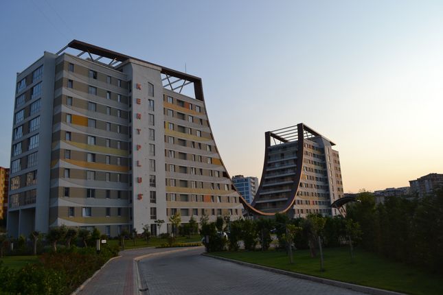 Kentplus Newport