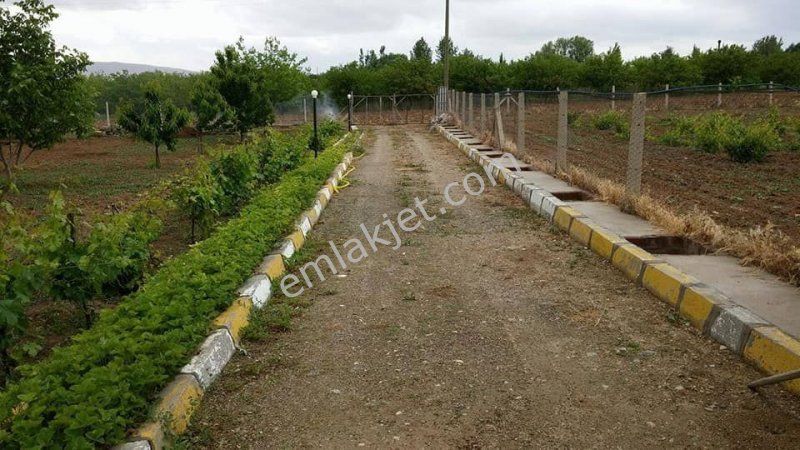 Emlakcidan Elazig Merkez 12000 M2 550 000 Tl Satilik 7115118