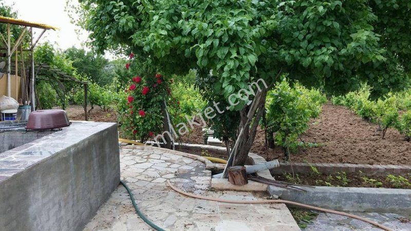 Emlakcidan Elazig Merkez 12000 M2 550 000 Tl Satilik 7115118