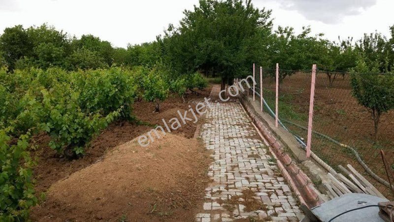 Emlakcidan Elazig Merkez 12000 M2 550 000 Tl Satilik 7115118