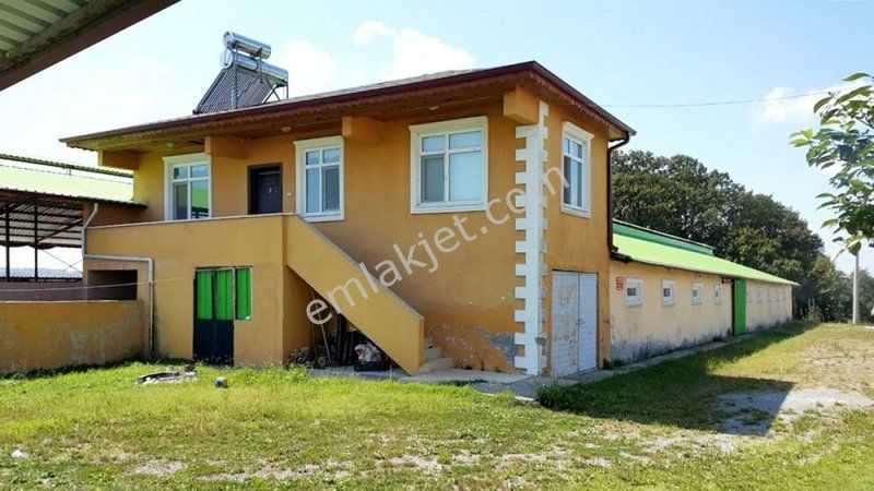 Emlakcidan Sakarya Kaynarca Gurpinar Mahallesi 1 Oda Satilik Daire 2 200 000 Tl 6228837