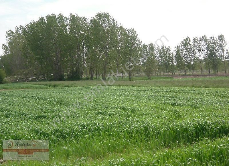 Babaeski Kuleli Köyü Satılık Tarla Babaeski Kuleli Köyüne Yakın Müstakil Tapulu 3500 M2 Tarla