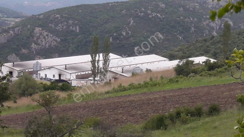 Emlakcidan Manisa Kirkagac Gelenbe Mahallesi 1 Oda Satilik Fabrika 2 300 000 Tl 6556013