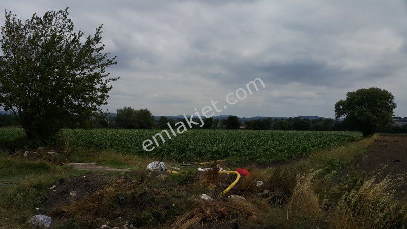 Eski Balıkesir Edremit Yoluna Cepheli Kiralık Tarla