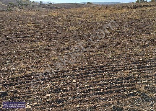 Emlakcidan Bursa Yenisehir Osmaniye Mahallesi Satilik Tarla 72 000 Tl 6862050