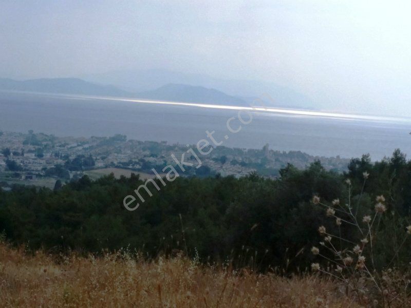 Kuşadası Soğucak Satılık Konut İmarlı Kuşadası Sogucak Mevkiinde Full Panoramik Manzaralı Arsa