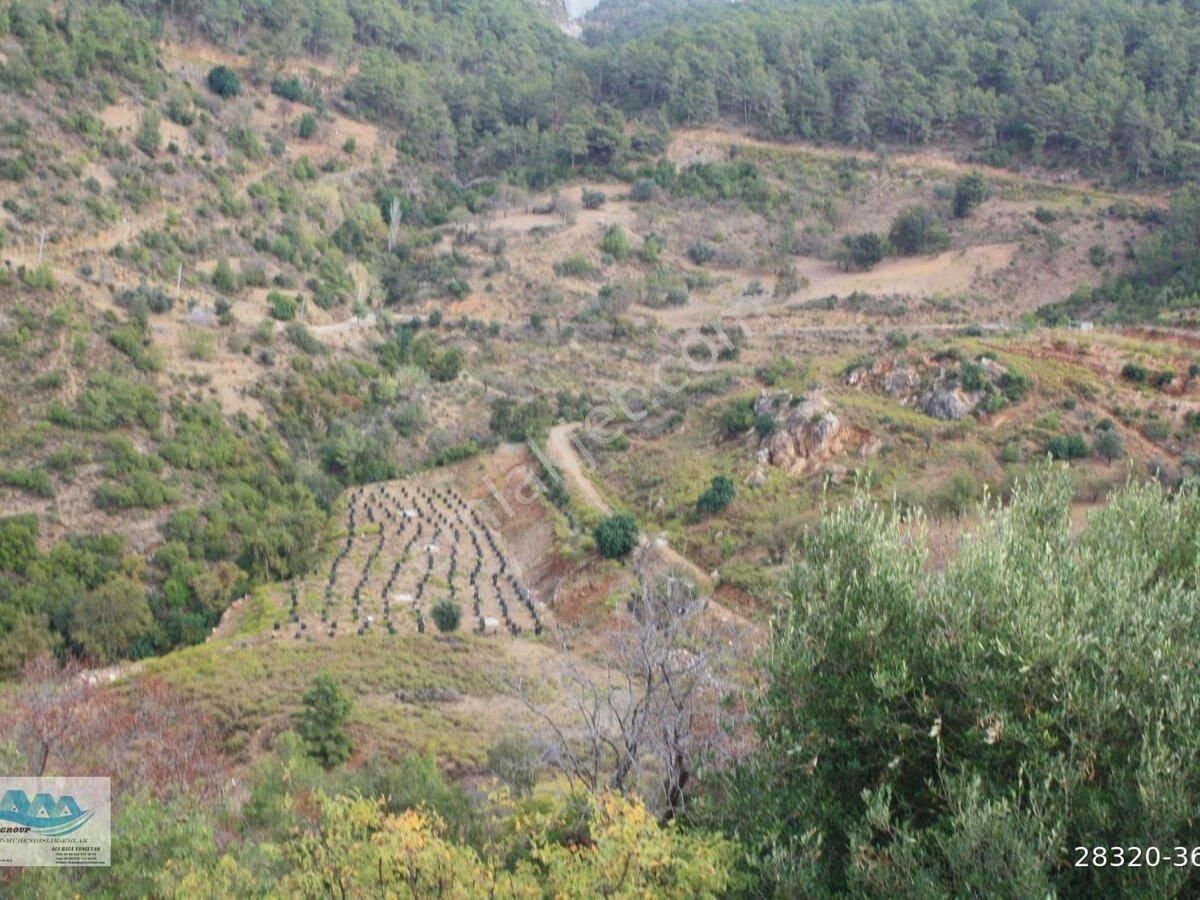 Anamur Satılık Tarla 23 Dönüm Uçarı - Görsel 11