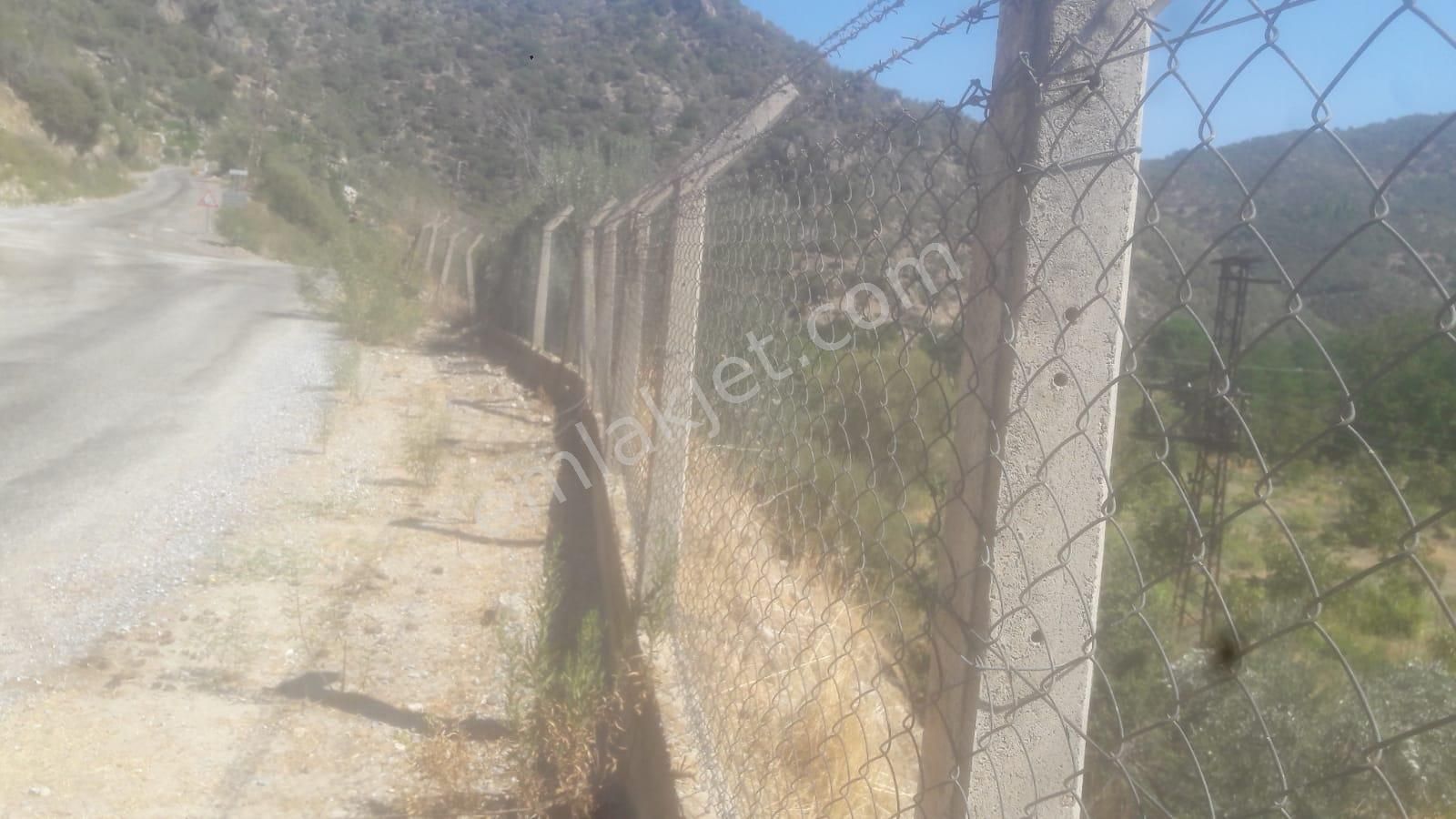 Güzeltepe Köyü Yola Sıfır Düz Ceviz Tarlası - Görsel 10