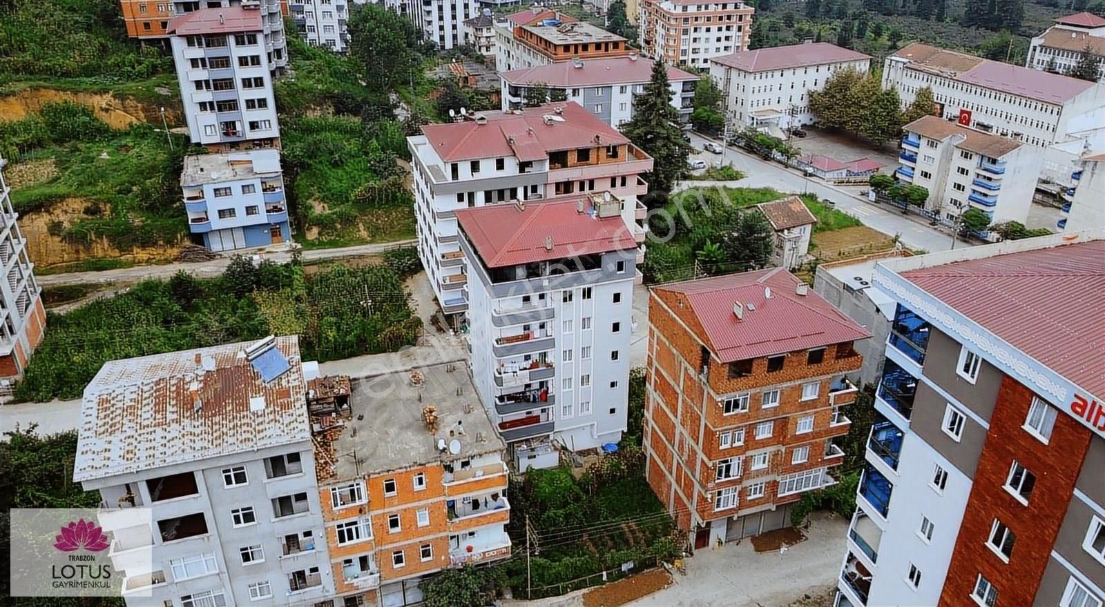 emlakcidan trabzon arakli hurriyet mahallesi satilik bag bahce 300 000 tl 7261445