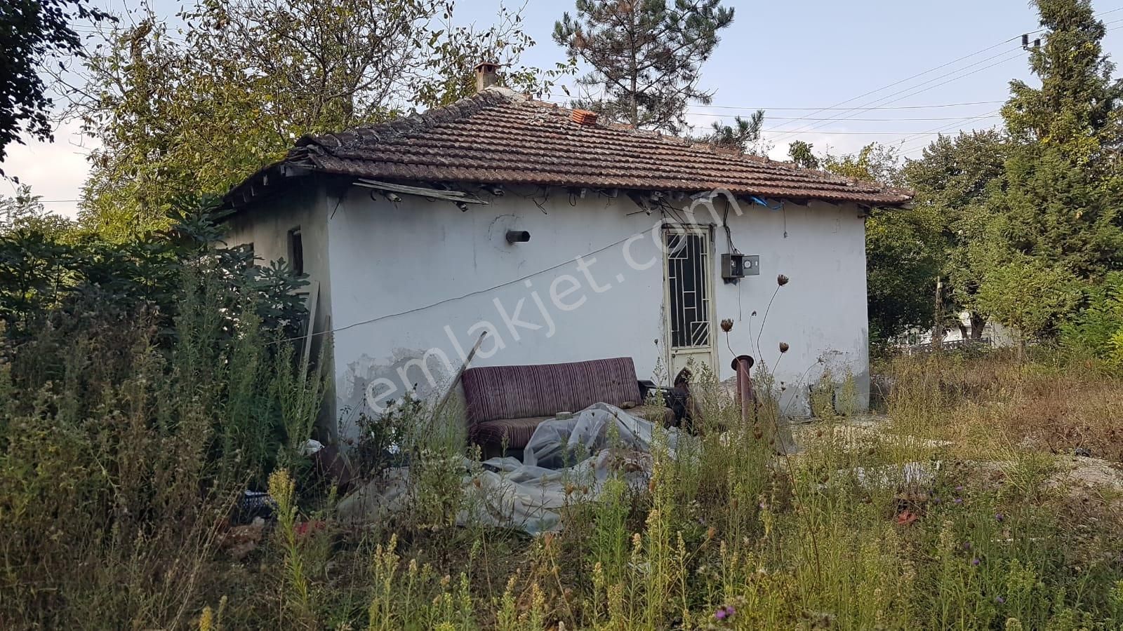 Kocaeli Satilik Mustakil Ev Ilanlari Ve Fiyatlari
