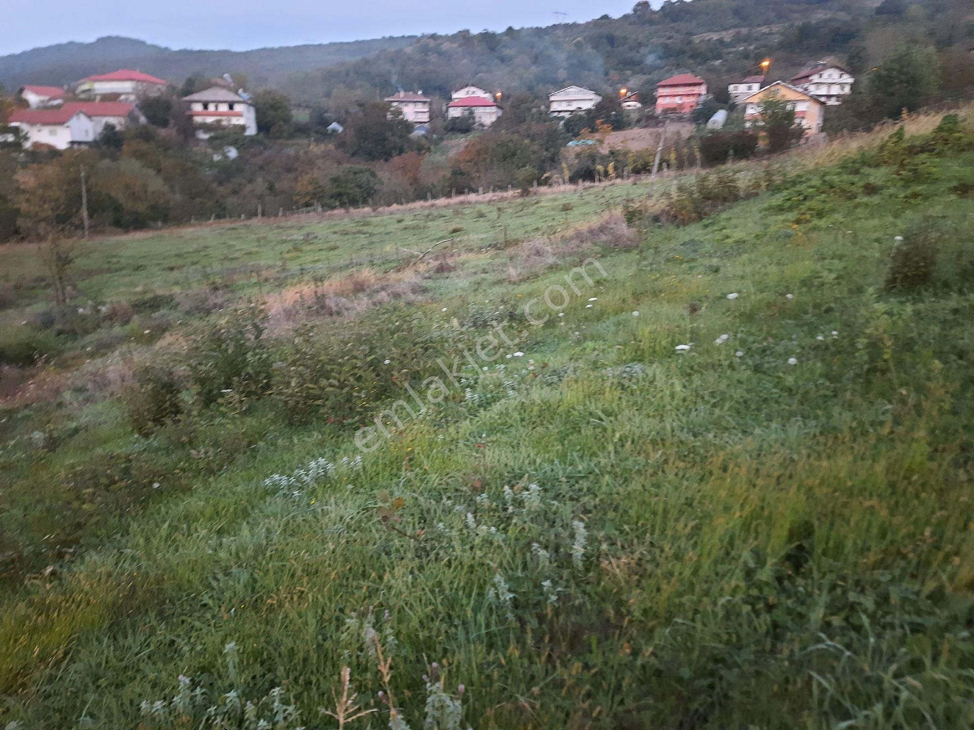 bartin amasra satilik arsa fiyatlari ve ilanlari