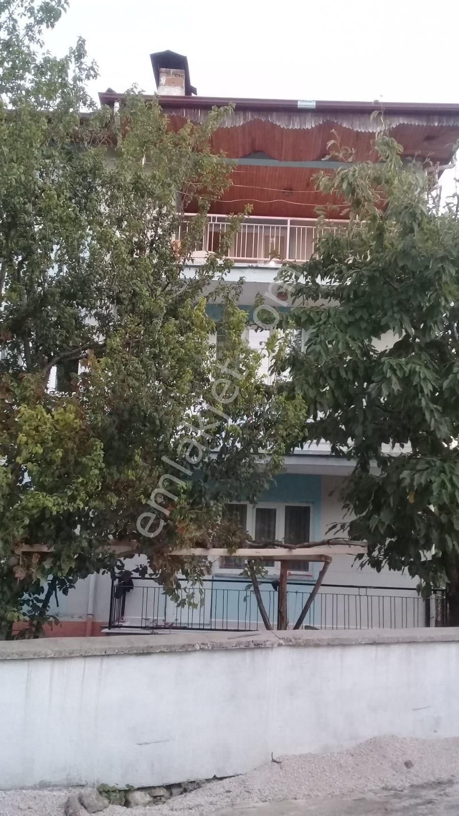 Burdur Kiralik Daire Ilanlari Ve Kiralik Ev Fiyatlari