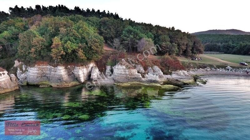 Kandıra Bollu Köyü İlerde Tüüh Diyeceğim... Fındık Bahçesi Denize 2 Km - Görsel 8