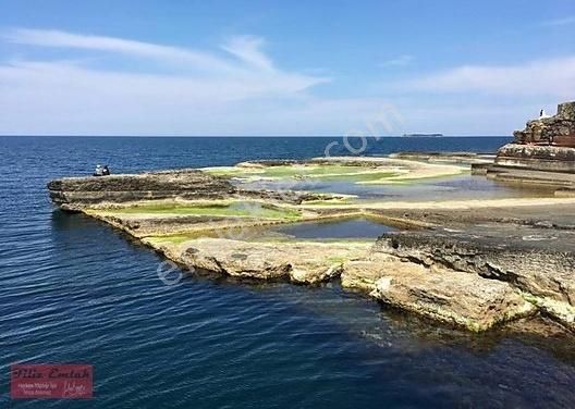 Kandıra Bollu Köyü İlerde Tüüh Diyeceğim... Fındık Bahçesi Denize 2 Km - Görsel 17