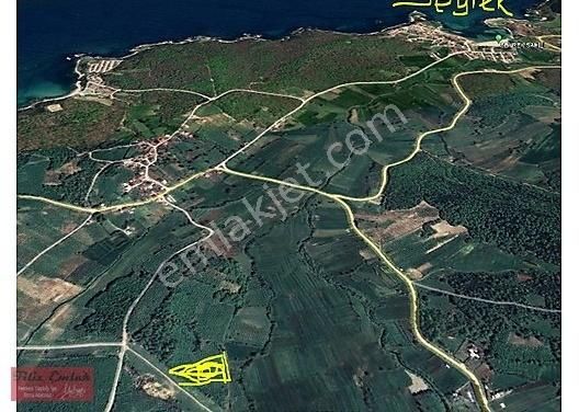 Kandıra Bollu Köyü İlerde Tüüh Diyeceğim... Fındık Bahçesi Denize 2 Km - Görsel 14