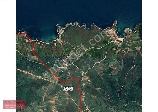 Kandıra Bollu Köyü İlerde Tüüh Diyeceğim... Fındık Bahçesi Denize 2 Km - Görsel 4