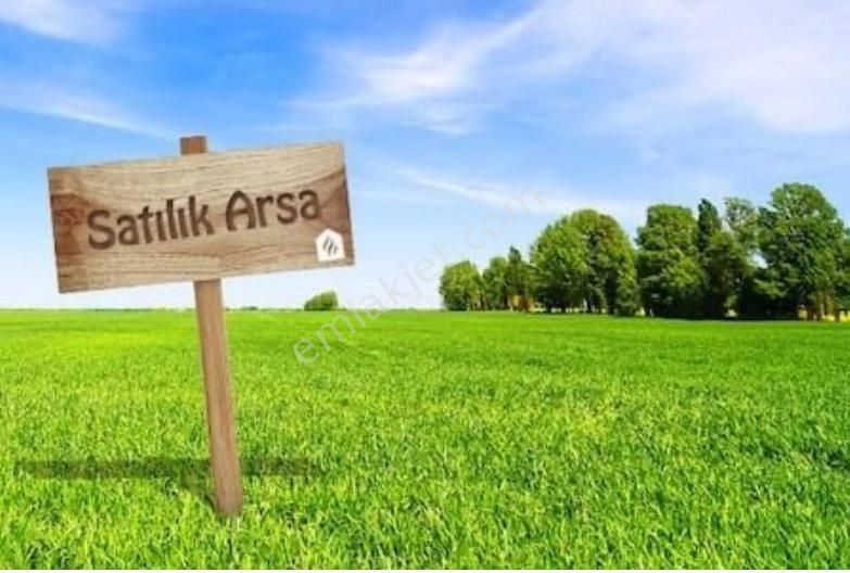 emlakcidan balikesir edremit tuzcumurat mahallesi satilik zeytinlik 6 000 000 tl 10090093