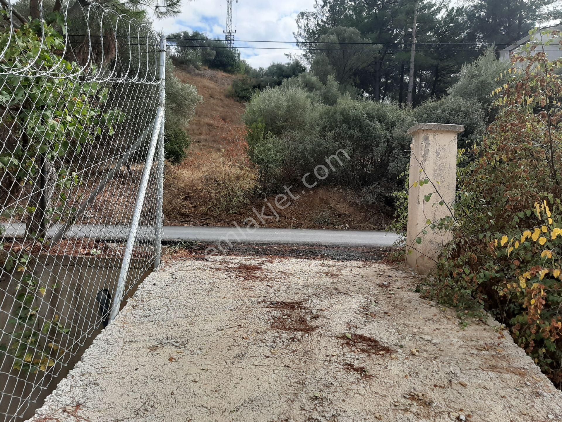 Izmir Kemalpasa Emlak Ofisinden Satilik Bag Bahce Emlakjet