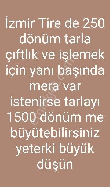 Tire Yenioba Satılık Çiftlik İzmir İli Tire İlcesi,yeniobaköyün De 1500 - 3500dönüme Kadar Temin Edilir