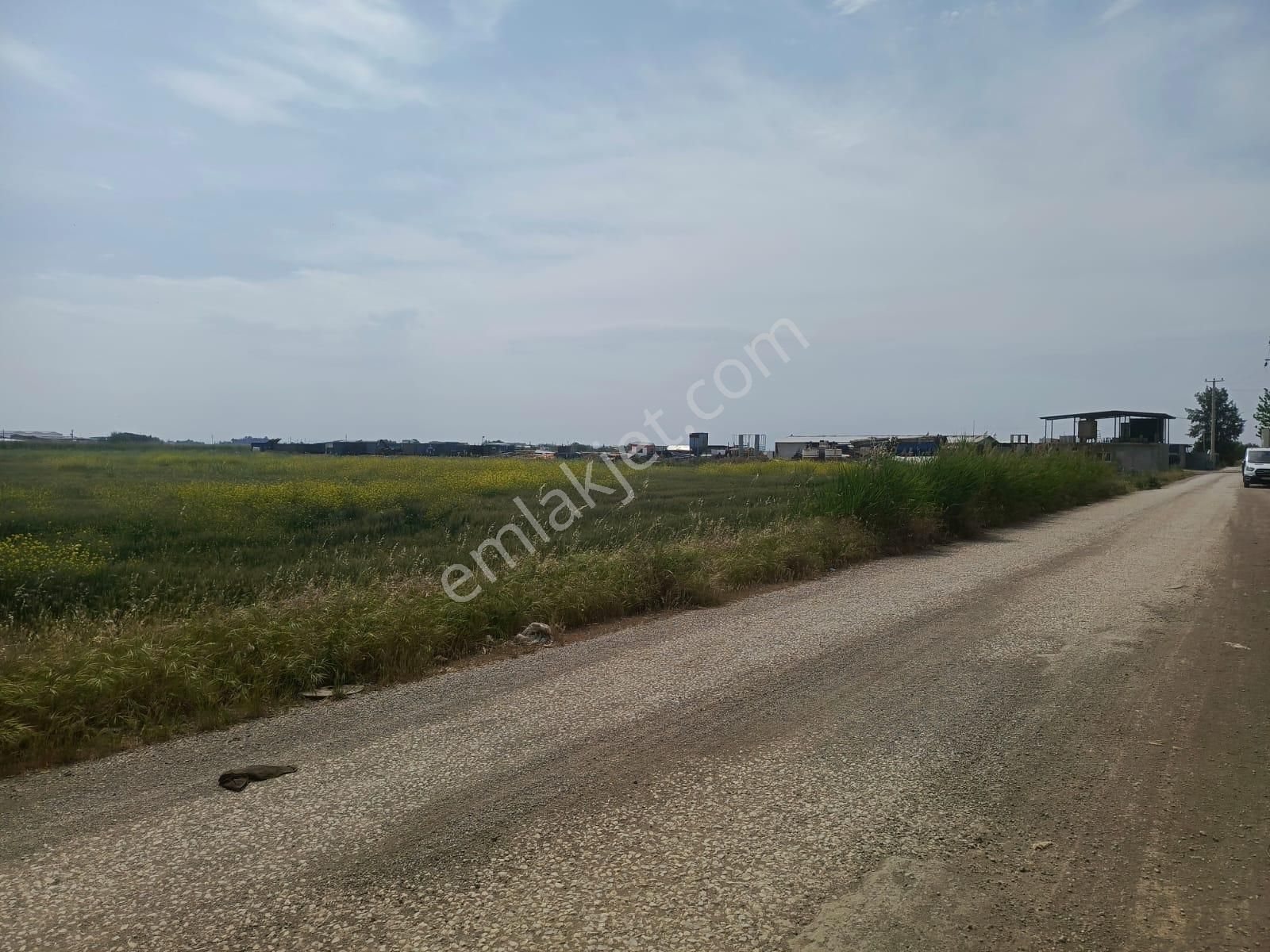 İzmir Tire Yenioba Ana Yol Üstün De Satılık Arazi - Dönüm Fiyatı. 1.100 Tl.
