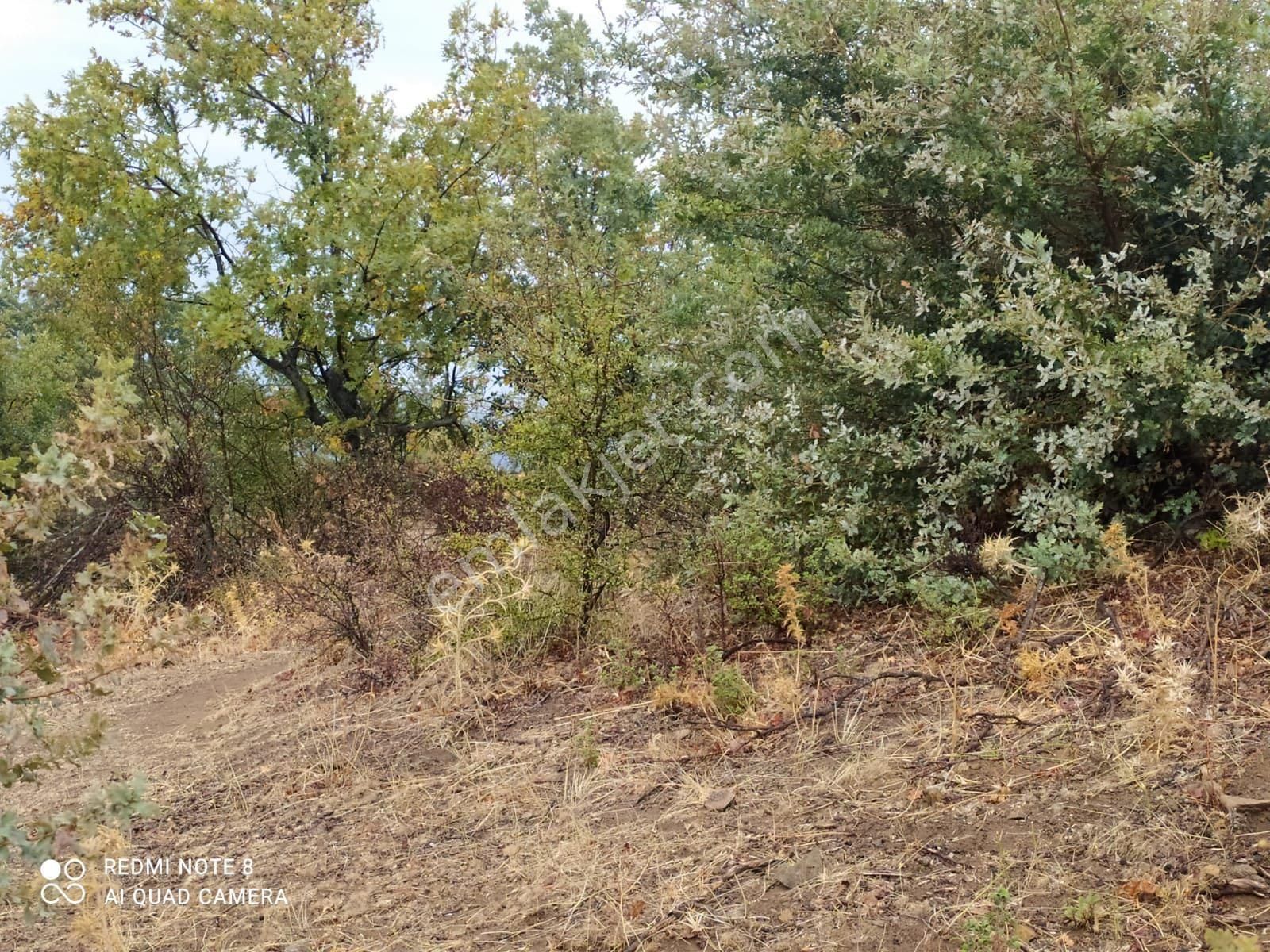 Bergama Mahmudiye Satılık Tarla Bergama-Çamtepe mahallesinde SATILIK TARLA