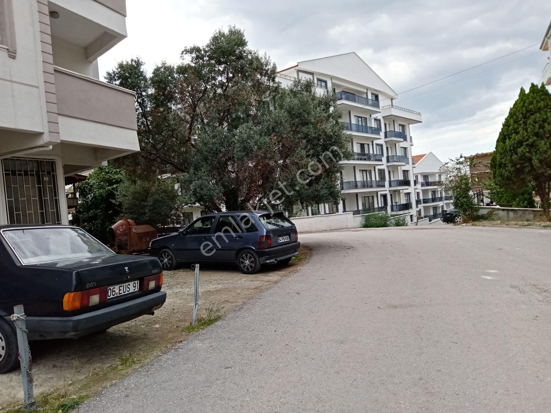 Yalova Cinarcik Kiralik Daire Ilanlari Ve Kiralik Ev Fiyatlari