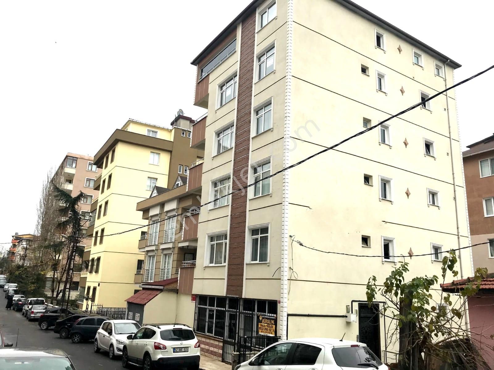 Istanbul Beykoz Kiralik Daire Ilanlari Ve Kiralik Ev Fiyatlari