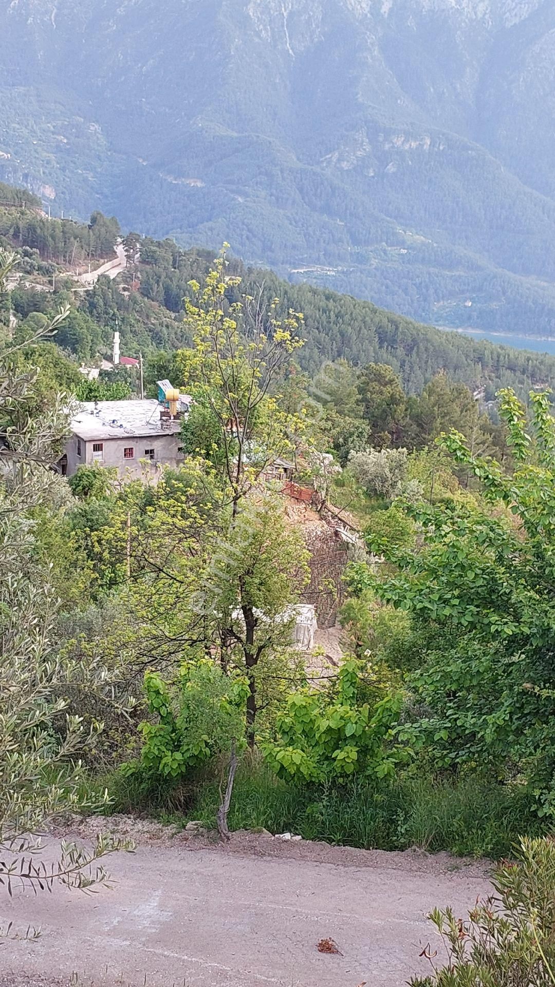 Alanya Üzümlü Satılık Tarla SATILIK ALANYA ÜZÜMLÜ'DE 1 DÖNÜM TARLA