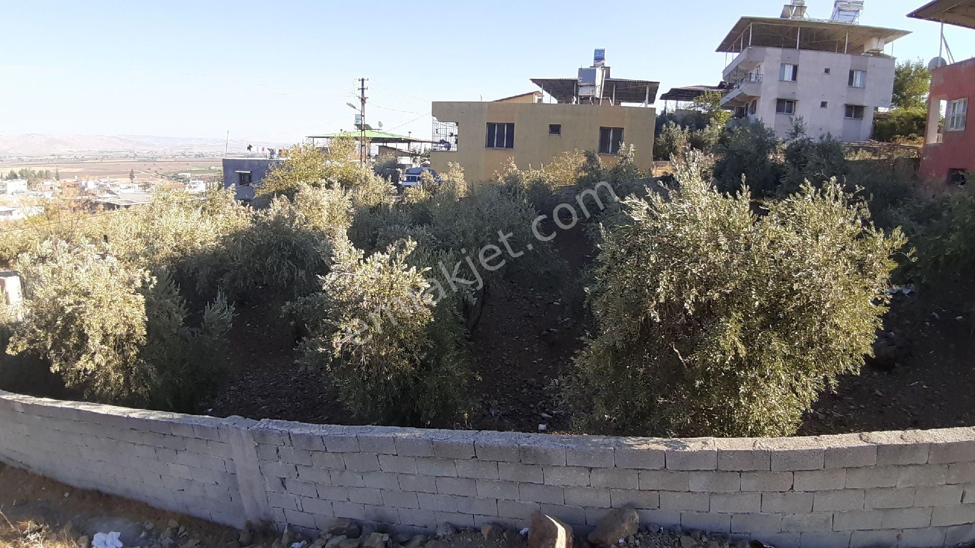 hatay kirikhan satilik arsa fiyatlari ve ilanlari