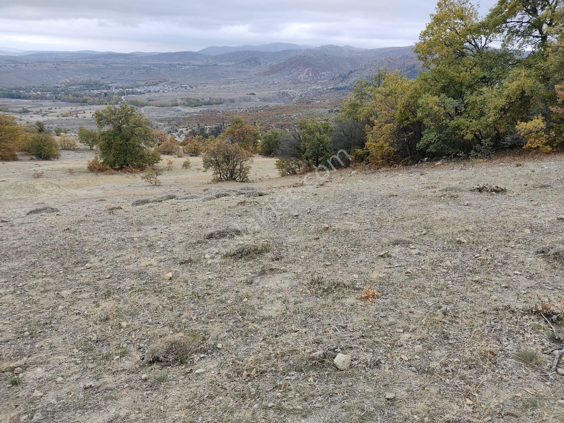 Sağlıkta 11867m2 Müstakil Makul Fiyatlı Satılık Arsa
