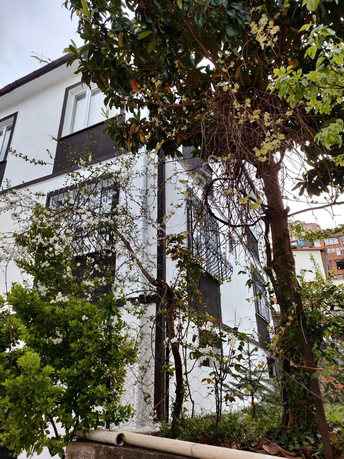 Emlakçıdan Ordu Altınordu Zaferimilli Mahallesi 5+2 Satılık Müstakil 1