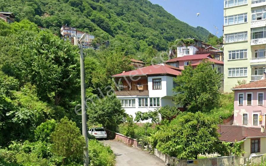 Ordu Satilik Mustakil Ev Ilanlari Ve Fiyatlari