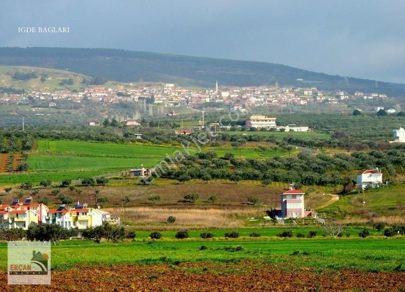 sarkoy igdebaglari mahallesi satilik zeytinlik emlakjet