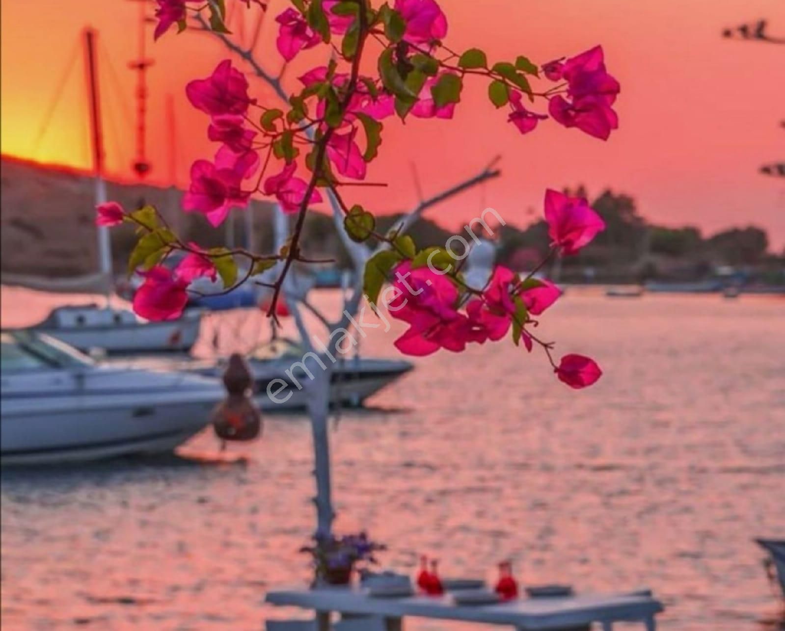 Bodrum Bağla Mavi Bayraklı Koy Elit Sitede Üst Kat Bakımlı Daire - Görsel 22