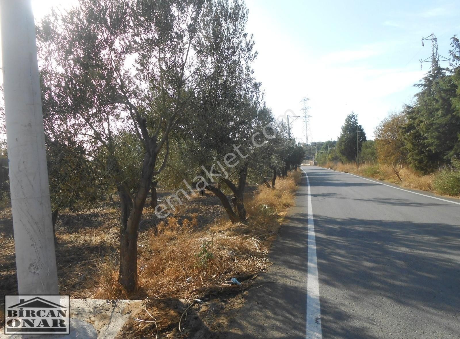 Aliağa-helvacı'da İzmir Ana Yolu'na Yakın,tali Yol Cepheli Acil Satılık Arazi - Görsel 11