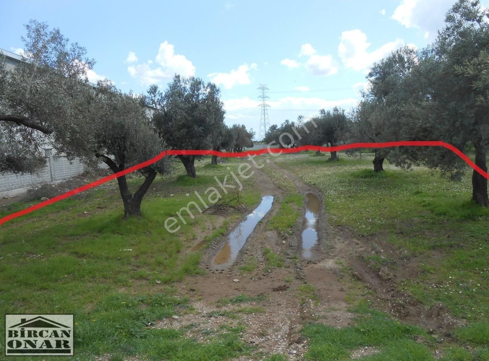 Aliağa-helvacı'da İzmir Ana Yolu'na Yakın,tali Yol Cepheli Acil Satılık Arazi - Görsel 5